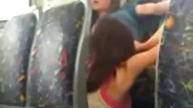 Ami marteau chienne  ...