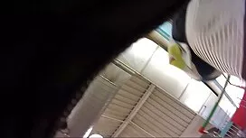 Le gars tire au télé ...